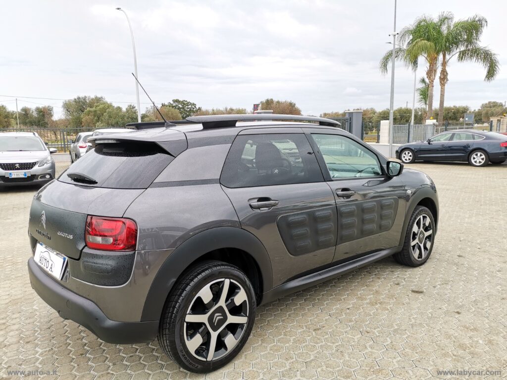 C4 Cactus BlueHDi 100 Shine