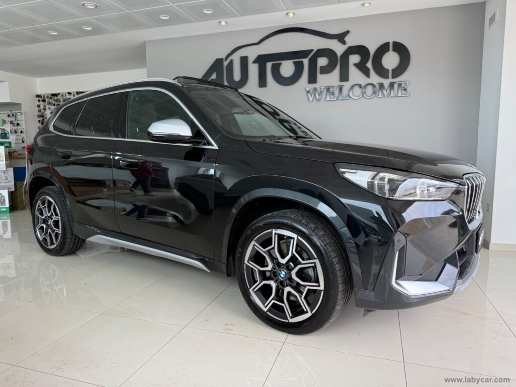 X1 xDrive 23d Msport